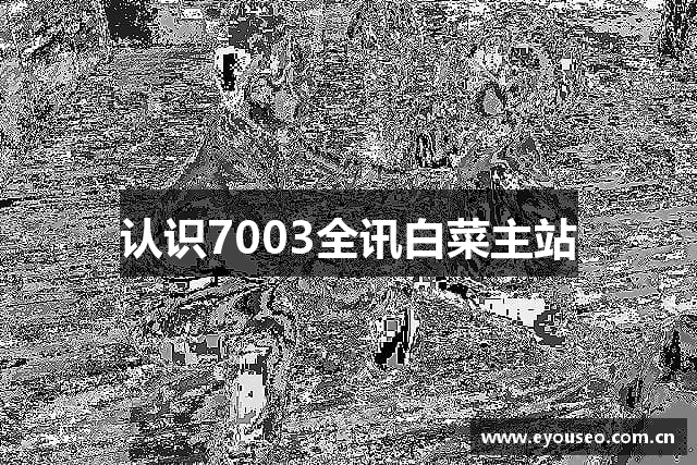 认识7003全讯白菜主站